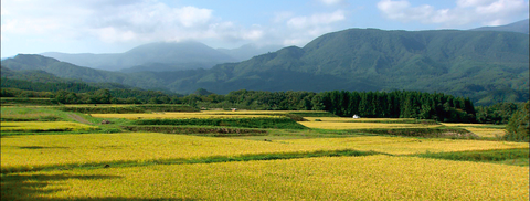 PREFETTURA DI MIYAGI